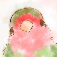 いんこさんのアイコン画像
