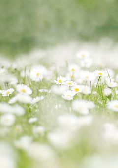 【BL/🚹🪐zb1】🐹🦊短編集