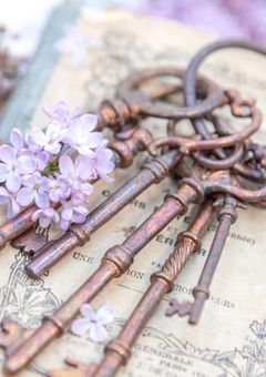 같이 살까?〜オッパと私のふたりぐらし〜【夢/🚹🪐zb1】