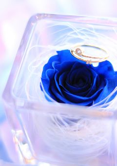 【夢/🚹🪐zb1】短編集