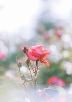 【BL/🚹🪐zb1】短編集