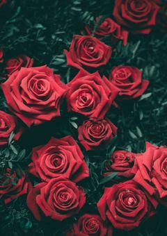 【BL/R18】○○ × zb①♡