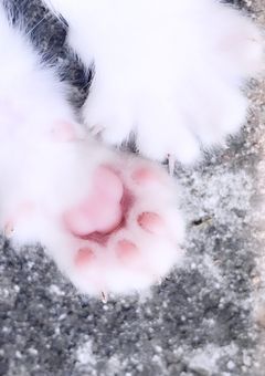 ふたりの愛が続く場所