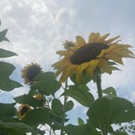 みっちゃんさんのアイコン画像