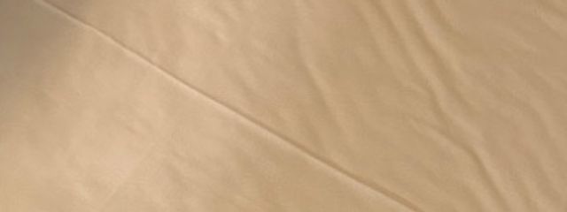  ︎ ︎ ︎ㅤㅤ深 蓮  さんの壁紙画像