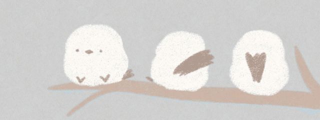 まっつん　ありがとうございました。さんの壁紙画像