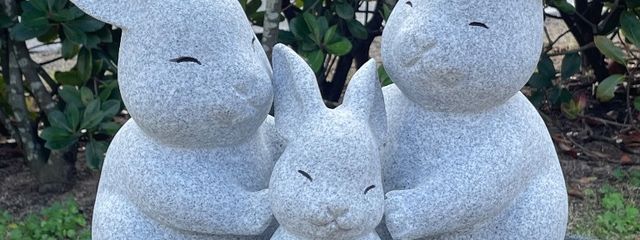 幸＊💚＊　🐥🥐さんの壁紙画像