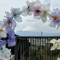 幸＊💚＊　🐥🥐さんのアイコン画像