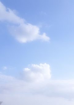 # お友達募集中