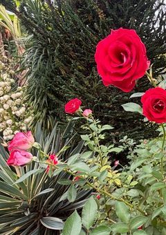 目が覚めたら何故か死にそうでした。