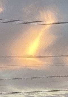 SA   ✘‎  ちゃん専用 .ᐟ.ᐟ