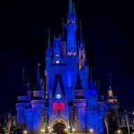 霜川 セイさんのアイコン画像