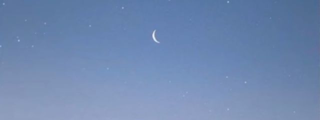 雪見だいふくさんの壁紙画像