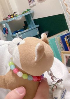 まさるっちは新幹線と今日も旅する！