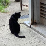 みなみさんのアイコン画像