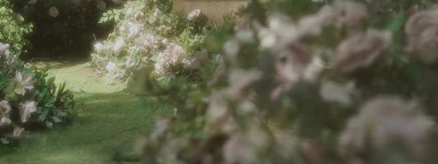 claru 自己満さんの壁紙画像