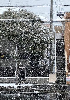 SnowMan、涙の氷解