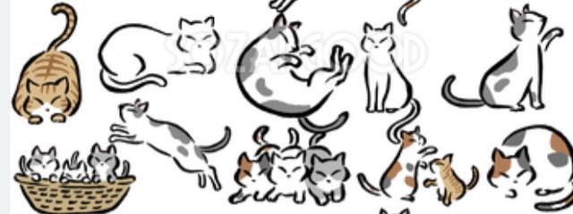猫さんの壁紙画像