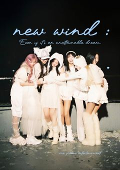 𝐧𝐞𝐰 𝐰𝐢𝐧𝐝 ︰