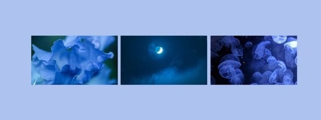 サブフィネ . @ フォロバ垢さんの壁紙画像