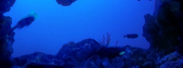 貴女の心に絆創膏さんの壁紙画像