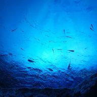 貴女の心に絆創膏さんのアイコン画像