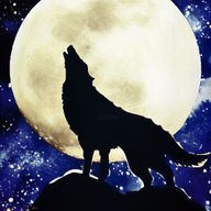 インテグラルさんのアイコン画像