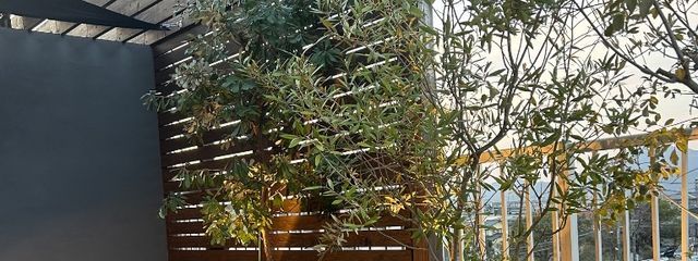 あやのさんの壁紙画像