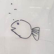 あさんのアイコン画像