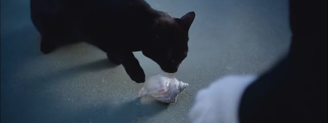 dozeさんの壁紙画像