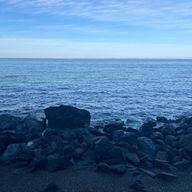 ˙⋆❀⋆˙aicho✿*~✿~* ✿さんのアイコン画像