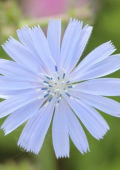 パロ　短編集①