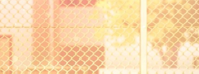 ヘタジンさんの壁紙画像