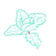 みんと/どっかのオタク。さんのアイコン画像