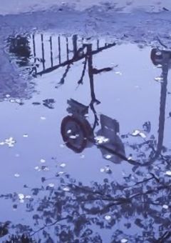     眠り姫は恋から覚められない    