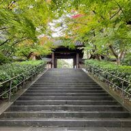 フィッシャーマン/学年末試験が終わるまで浮上ないかもさんのアイコン画像