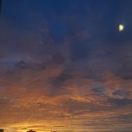 Yᑌᘔᑌ        さんのアイコン画像