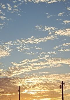 「天国は遠いね」