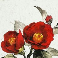 椿屋さんのアイコン画像