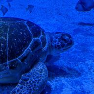 明華さんのアイコン画像