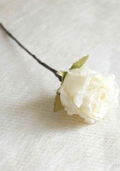White Rose