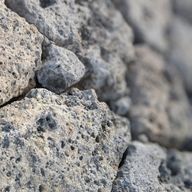 いるかさんのアイコン画像