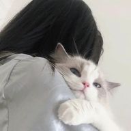 아보카도 . 🥑さんのアイコン画像