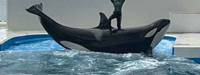 Airiさんの壁紙画像