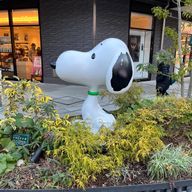 Airiさんのアイコン画像