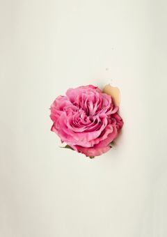 無一郎君関連の短編集