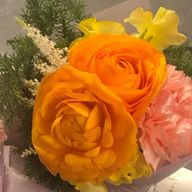 aya🥐さんのアイコン画像