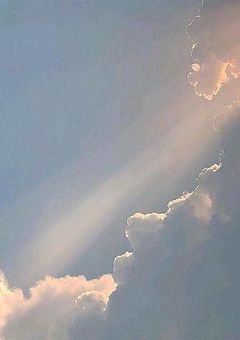 𝐉𝐨𝐡𝐧𝐧𝐲'𝐬のお姫様