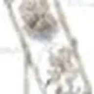 HNKさんのアイコン画像