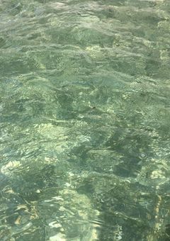 💙💚の日常を調査します！！